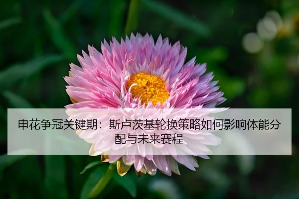 shen-hua-zheng-guan-guan-jian-qi-si-lu-ci-ji-lun-huan-ce-lve-ru-he-ying-xiang-ti-neng-fen-pei-yu-wei-lai-sai-cheng-3-586.jpg