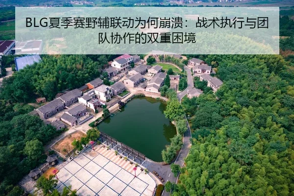 BLG夏季赛野辅联动为何崩溃：战术执行与团队协作的双重困境