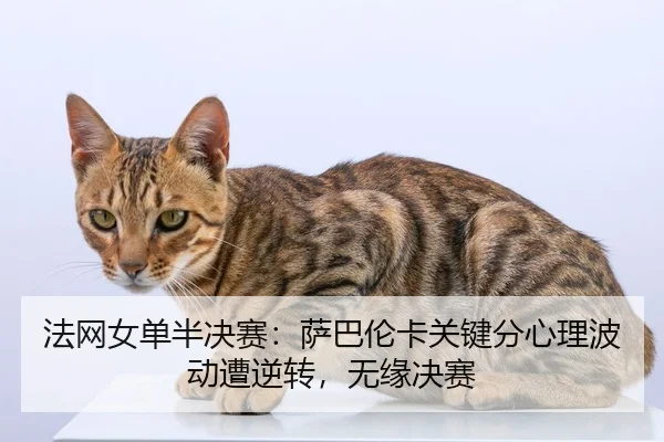 法网女单半决赛：萨巴伦卡关键分心理波动遭逆转，无缘决赛